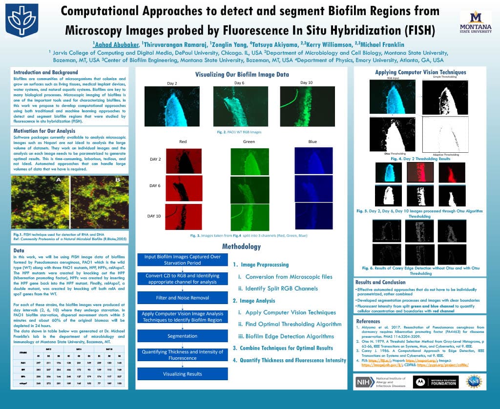 Biofilm Image Analysis